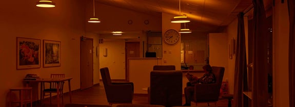 Syrengaarden_banner